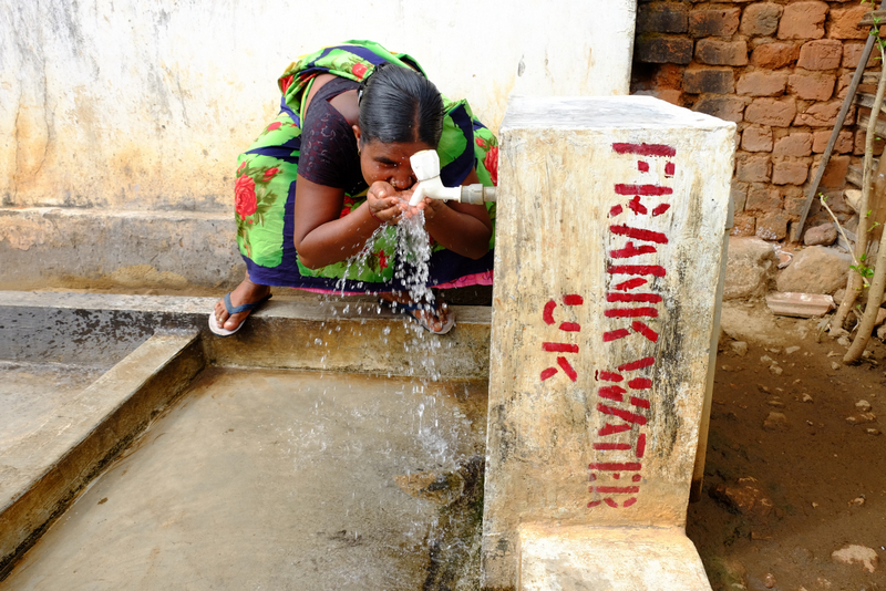 Using algae for defluoridation of drinking water