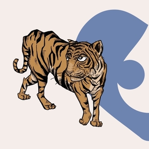 Drawing of a tiger with half the Frank Water logo in the background