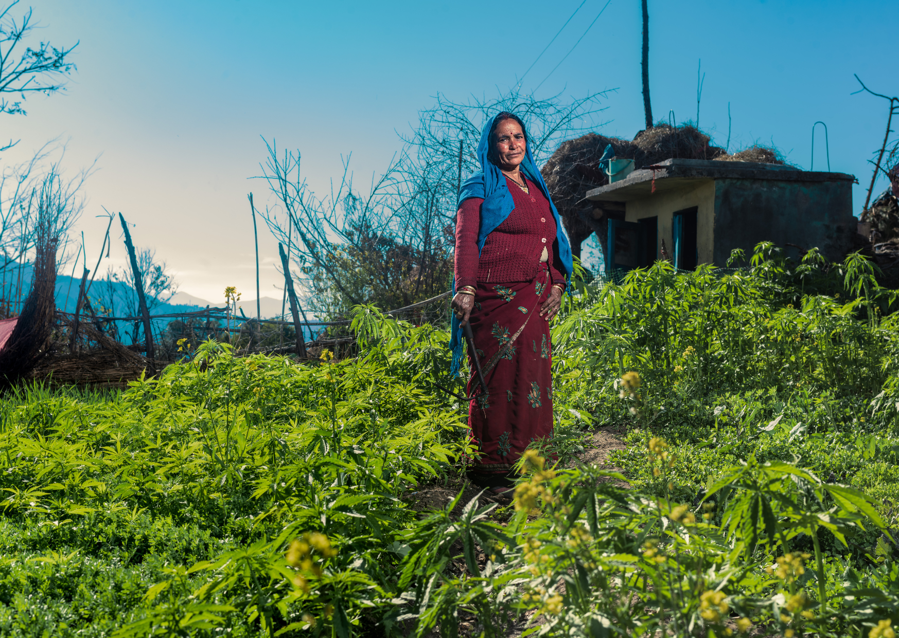 New Rainmaker Partner: Green Tech FS