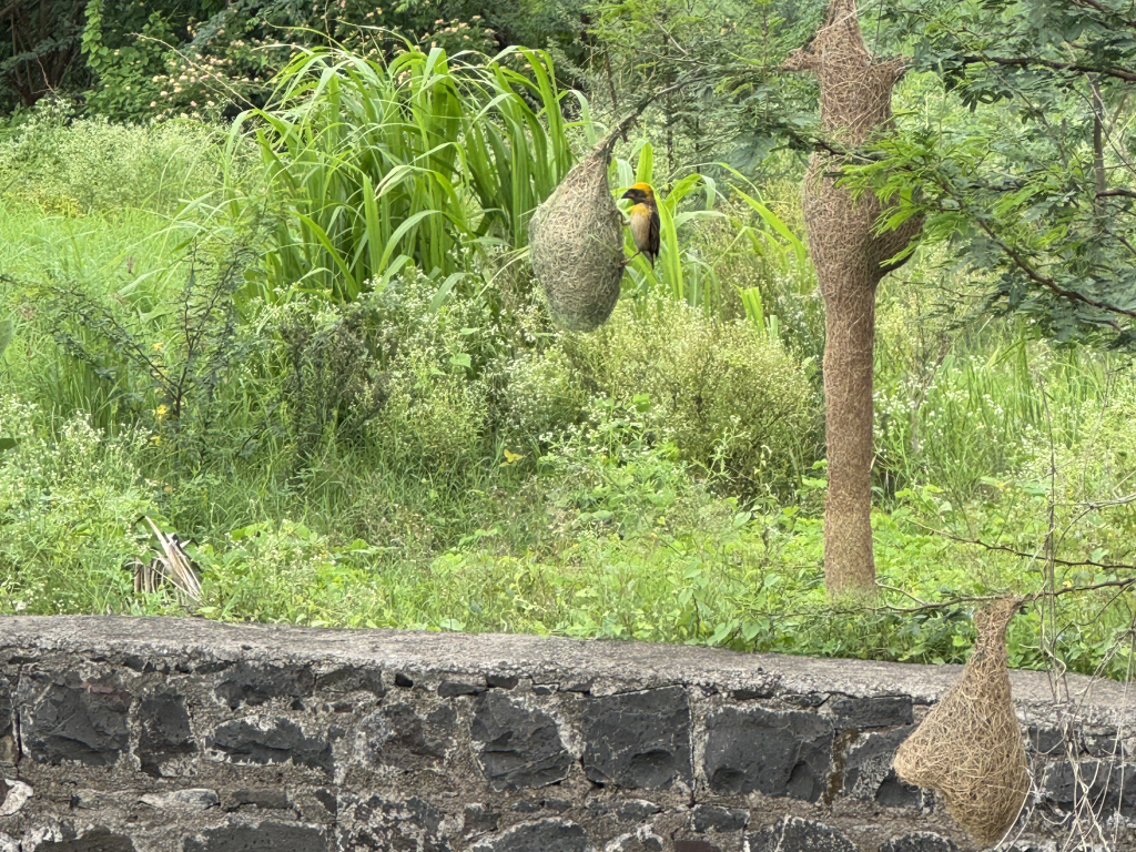 Keeping it simple for water and climate